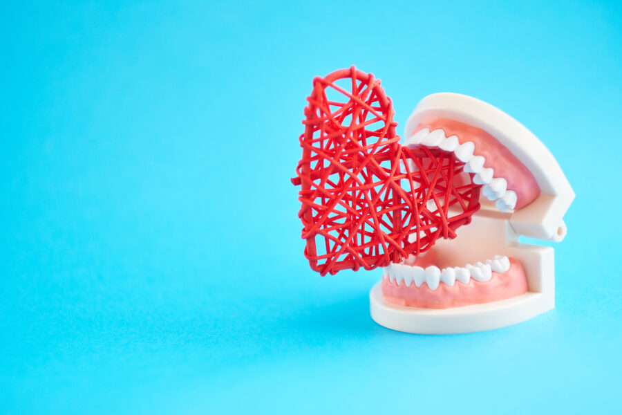 White teeth model bites red heart on blue background.